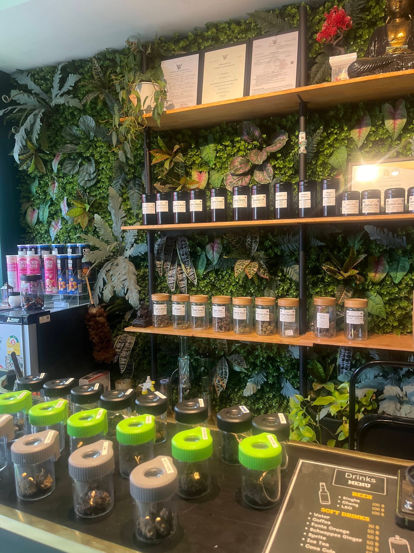 WeedPanda Lounge