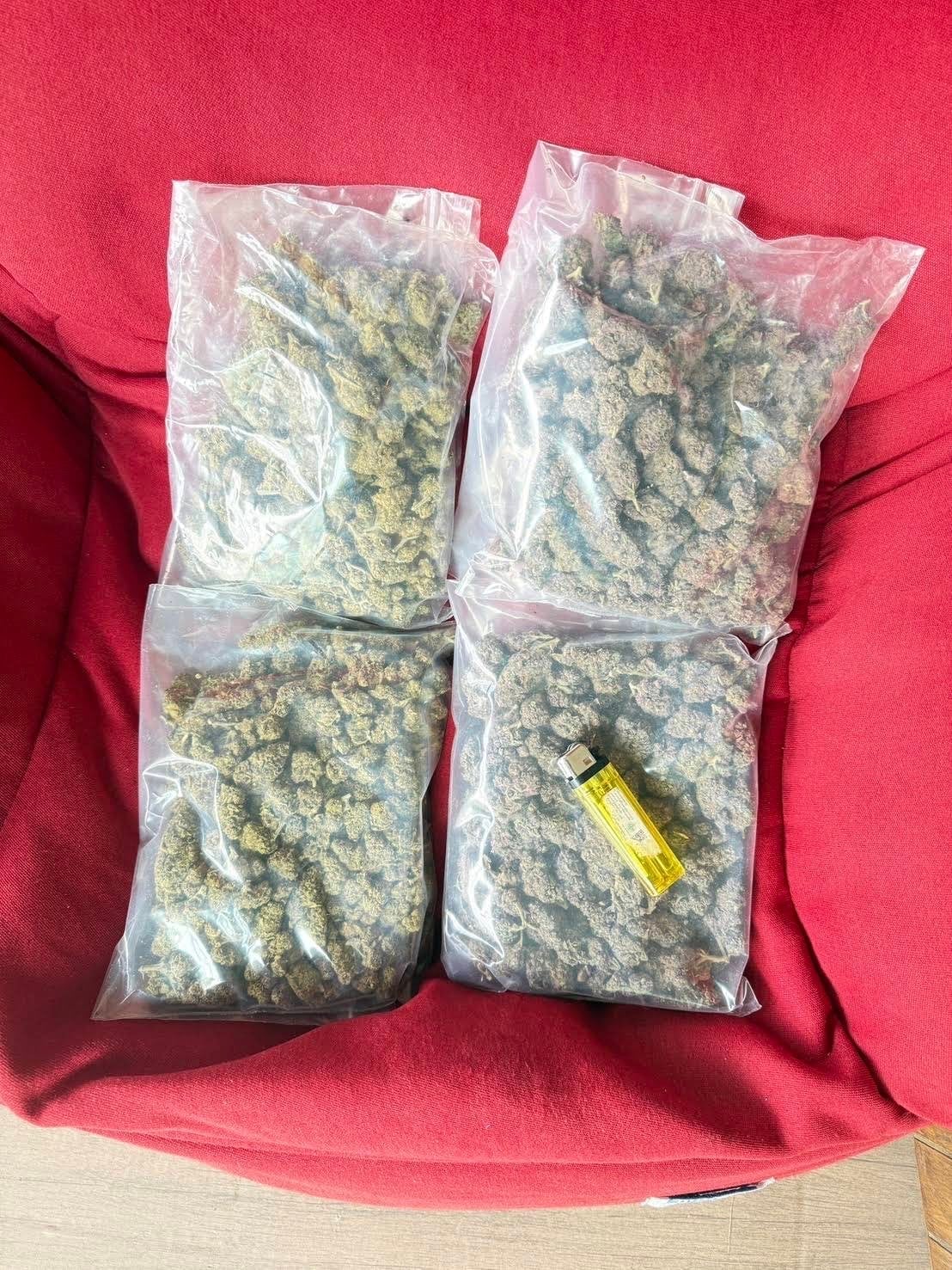 God Cannabis