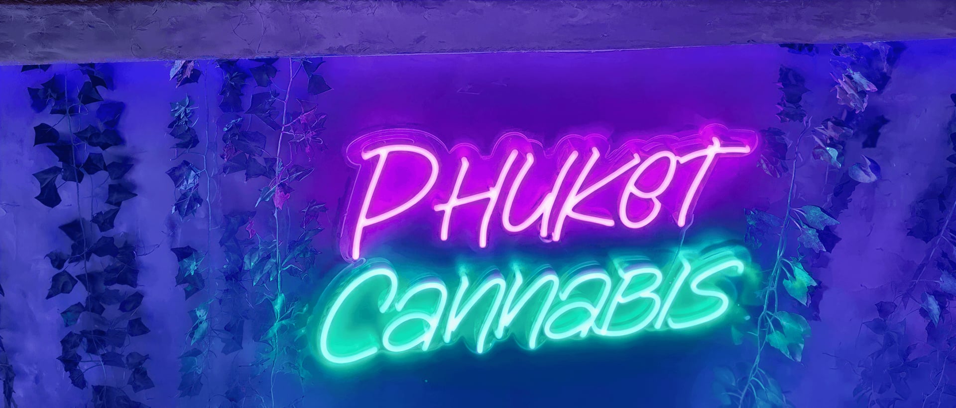 THC Club hero