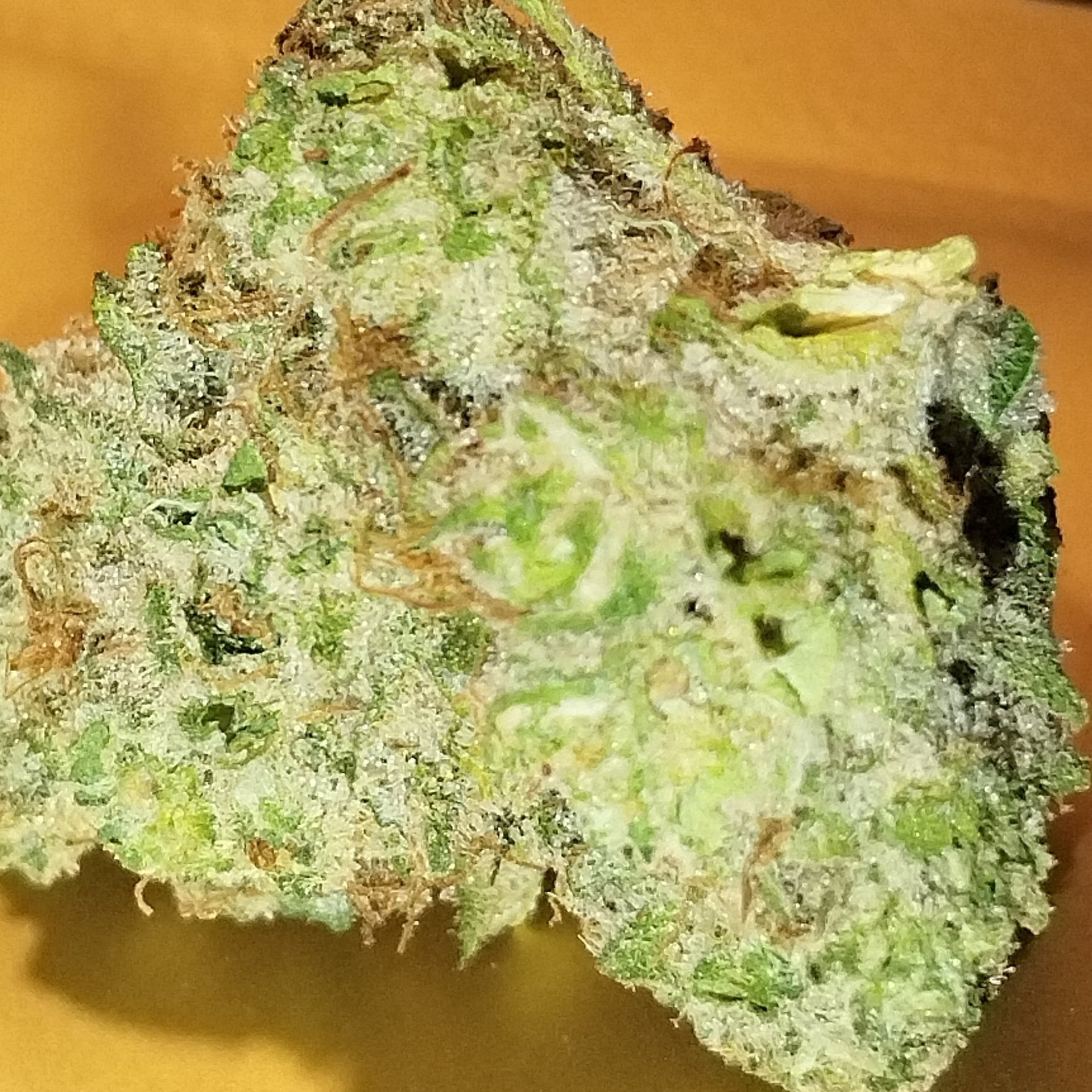 Nuturella Weed - Premium Quality Cannabis