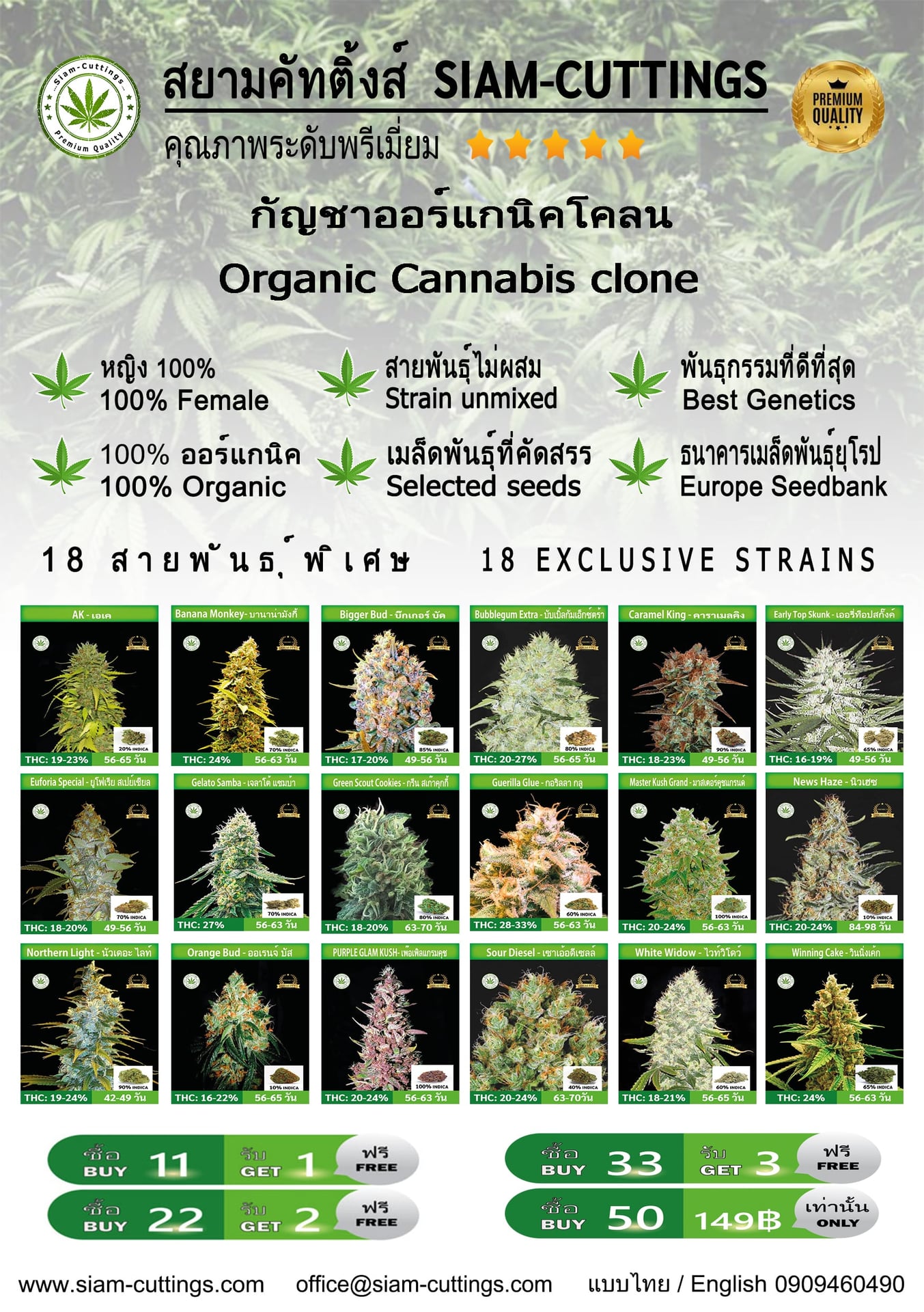 Siam-cuttings
