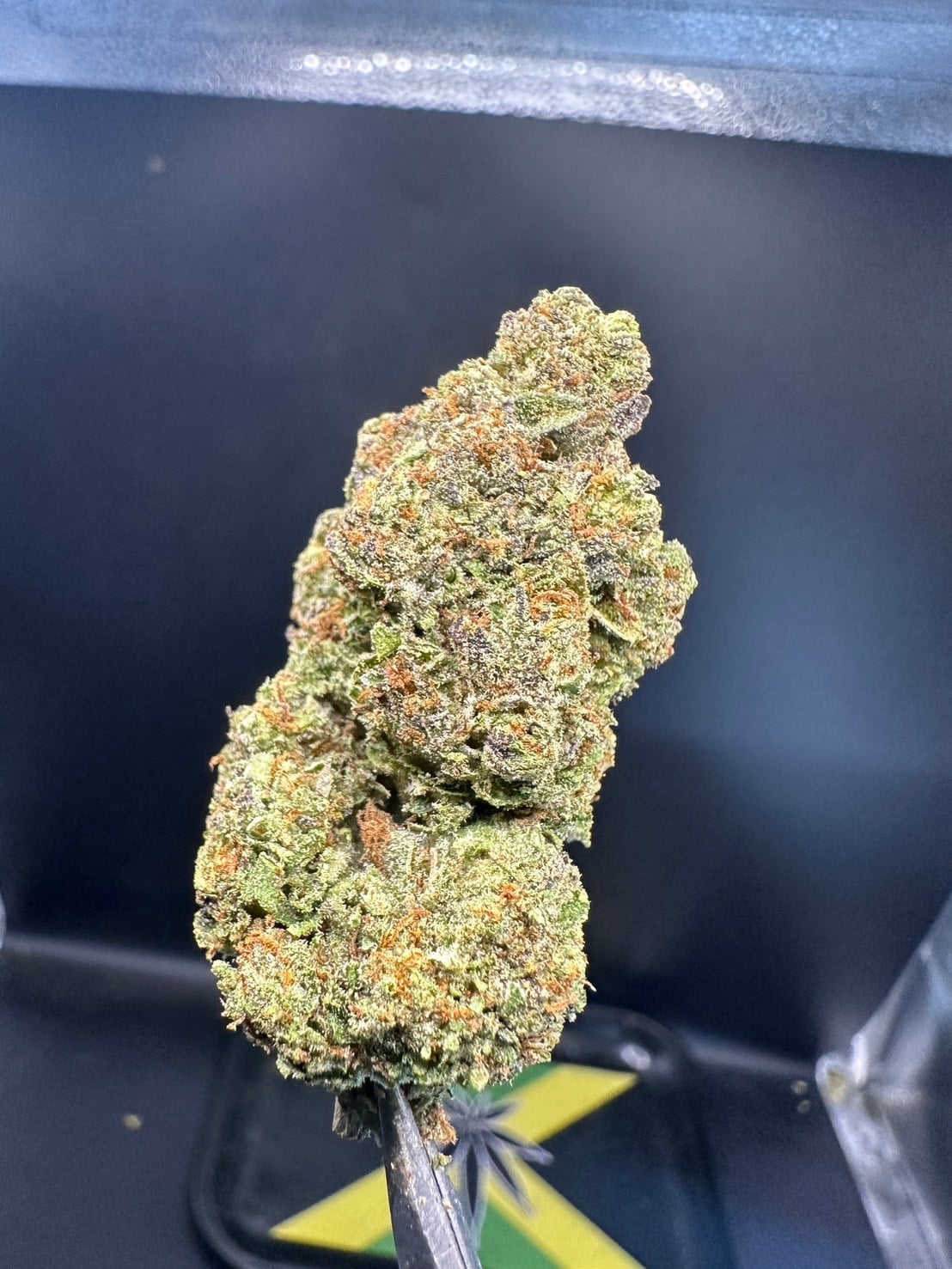 Maika Cannabis