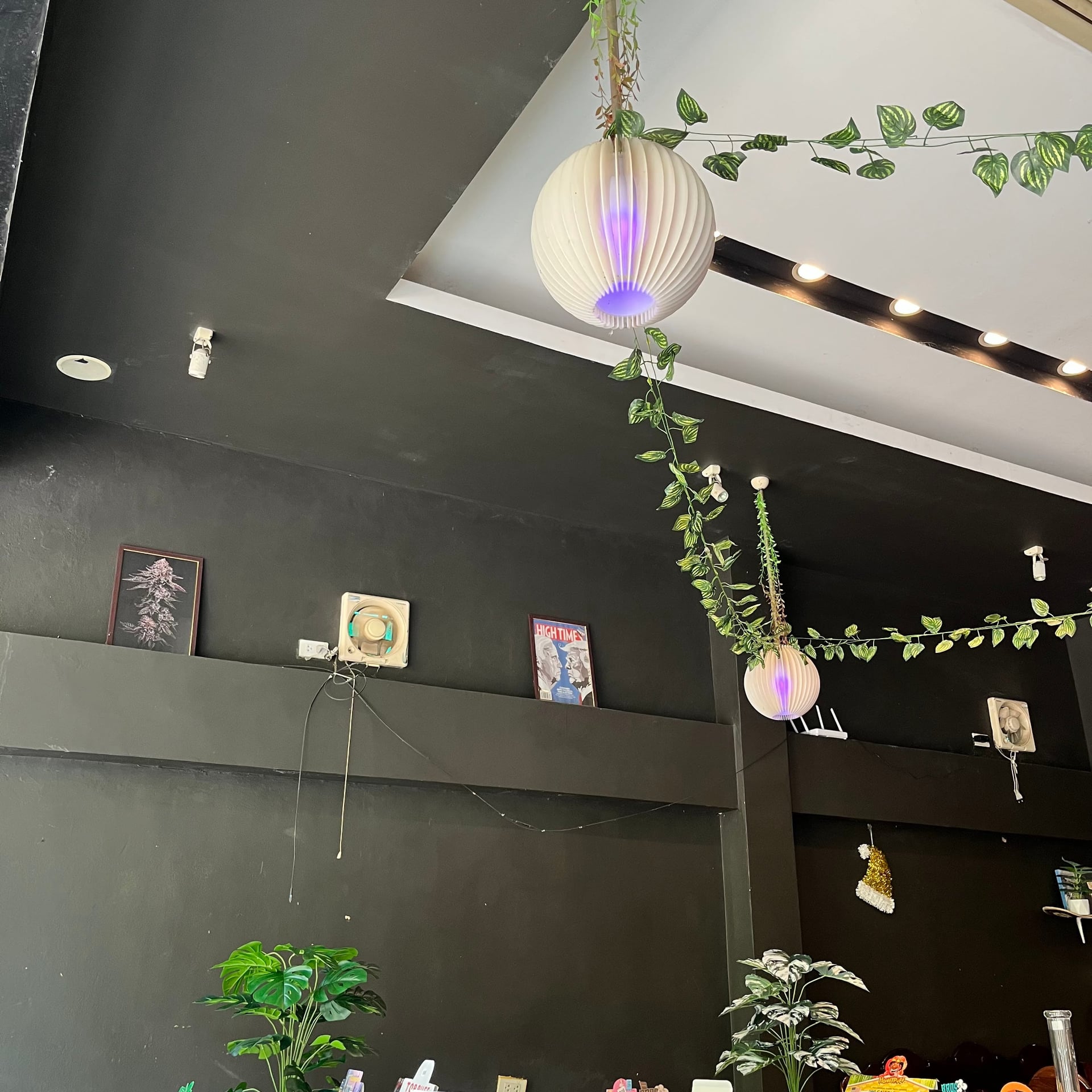 High Harvest Cannabis Gallery Shop & Farm Weed