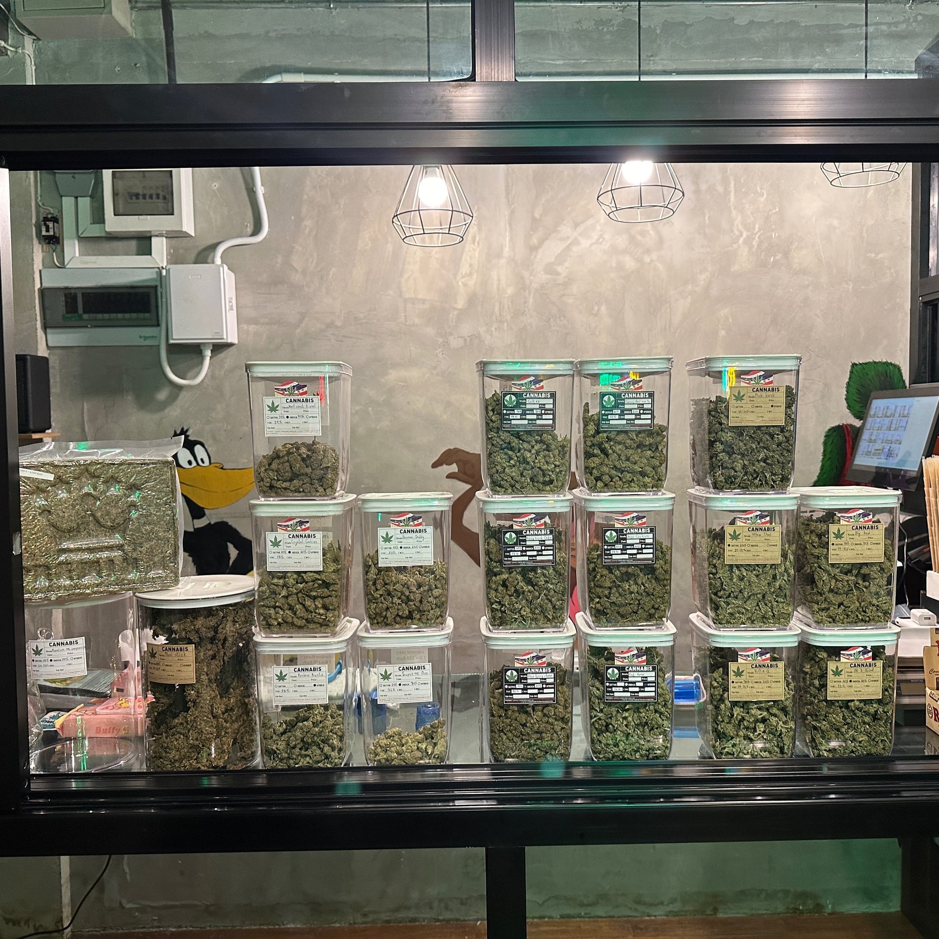 iQ99 Cannabis Farm