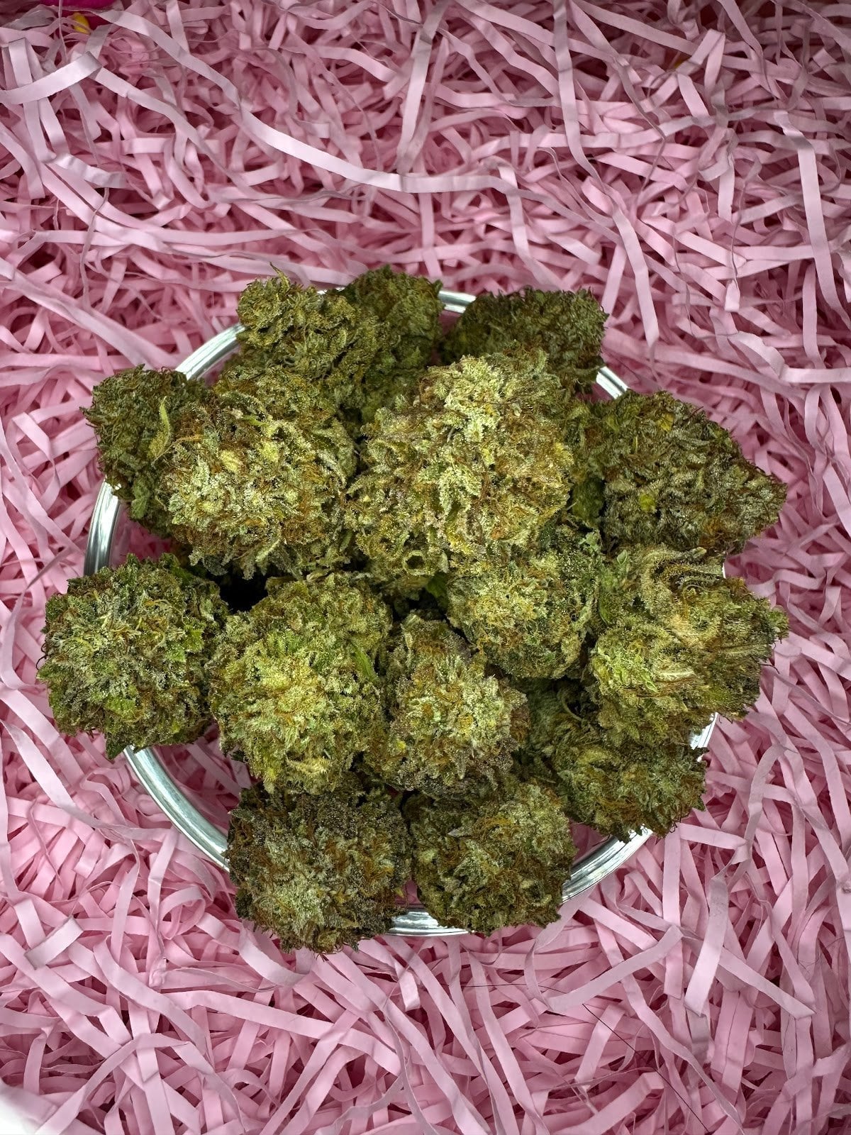 Khronic Genetics