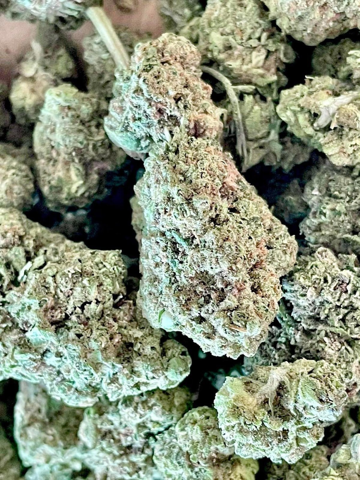 Weed No.8