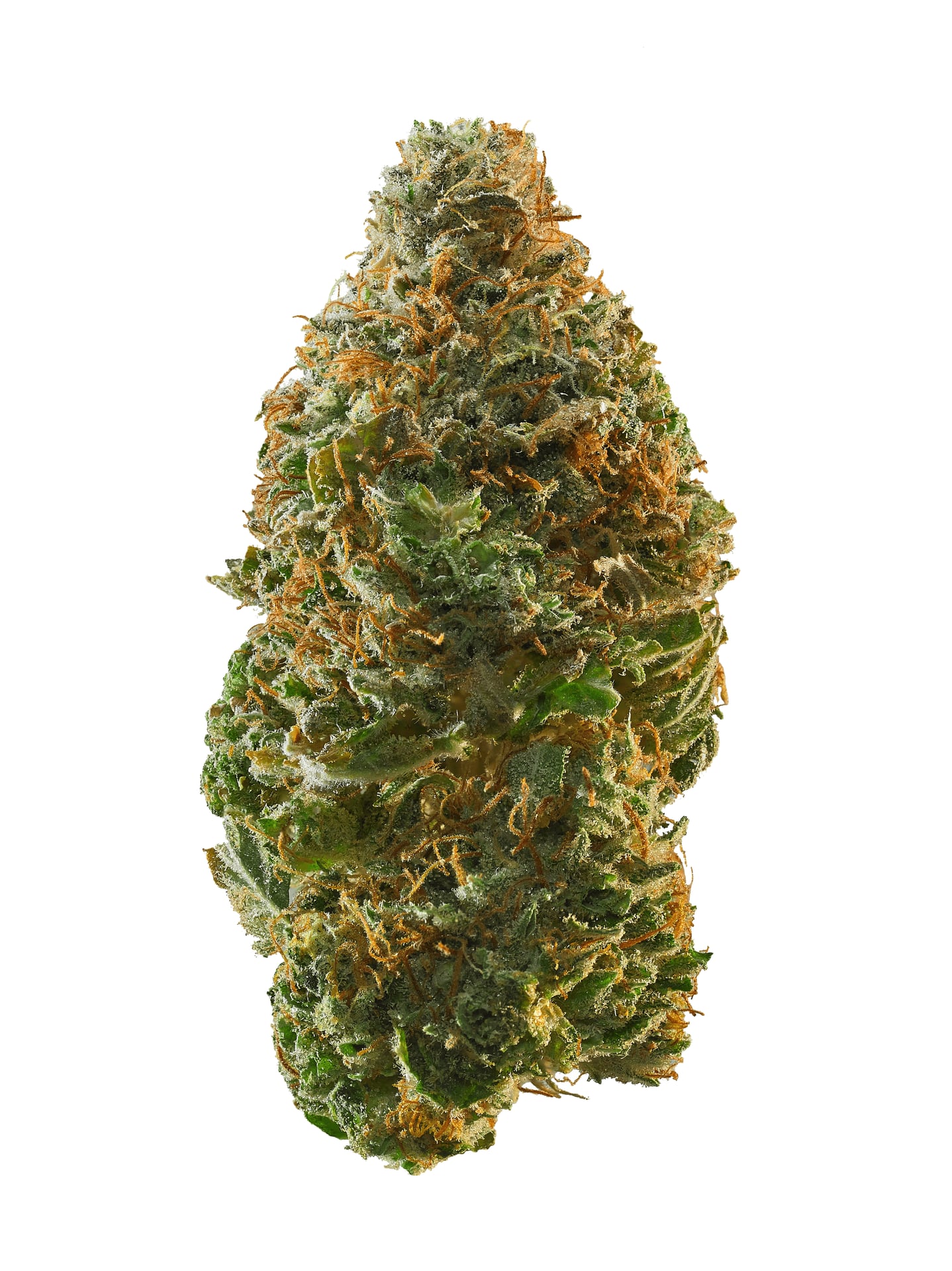 Exotic Dispensary