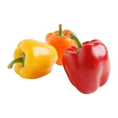 Organic Village Soi