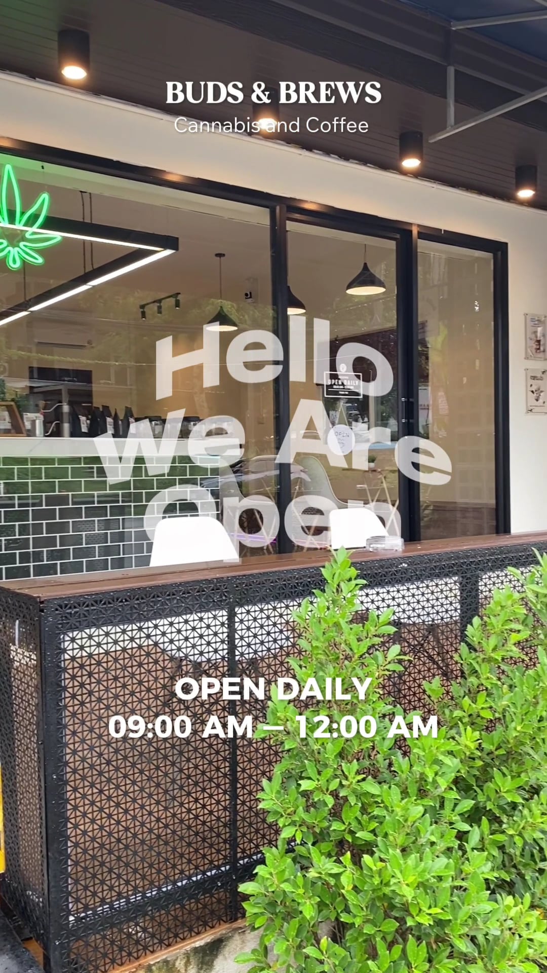 Buds