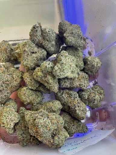 ZaZa Asia Cannabis Dispensary And