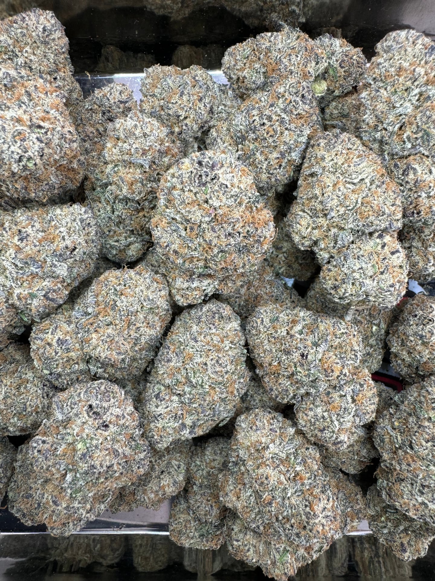 Green Paradise420
