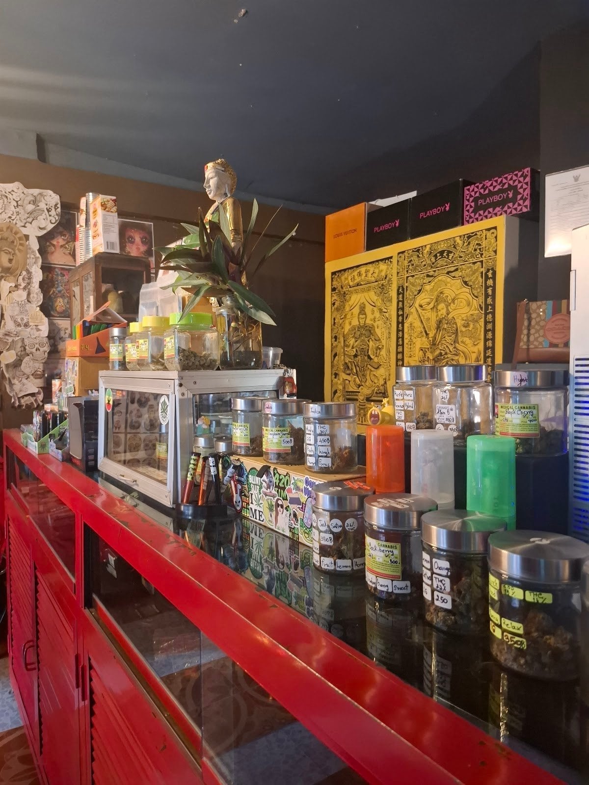 Cannabis & Pizza House7