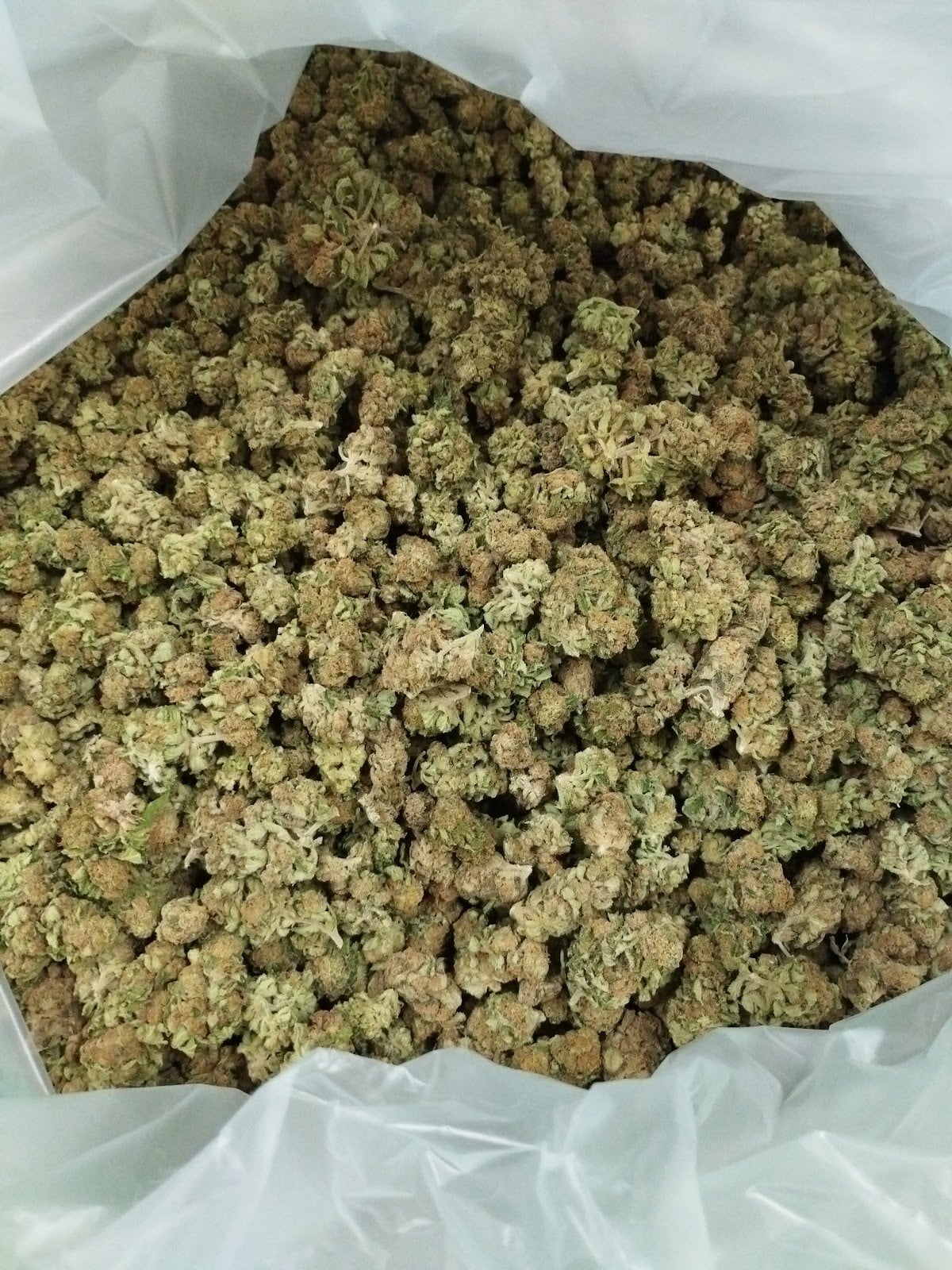 Organic Weed Farm