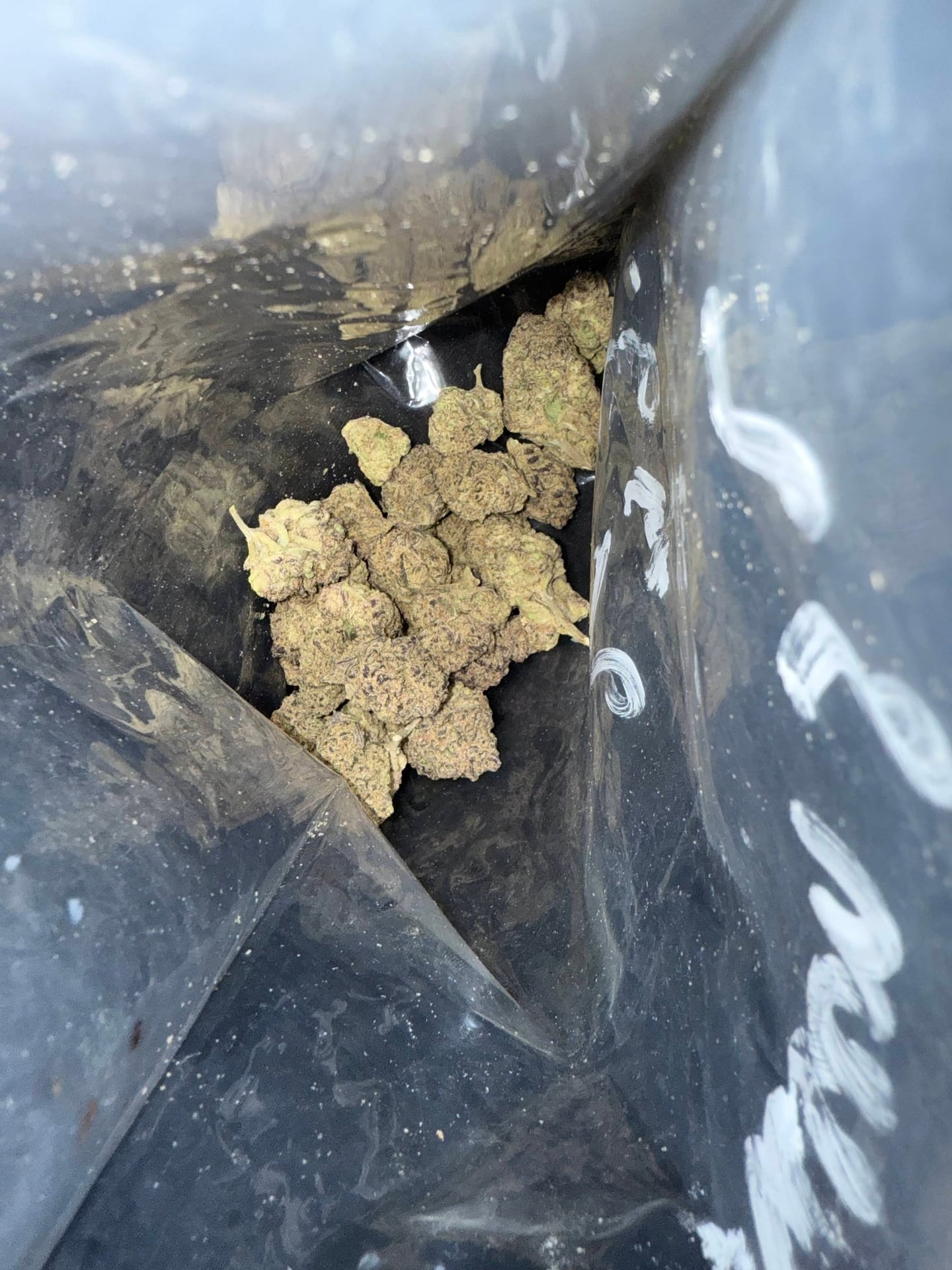 Thaiexotics.com