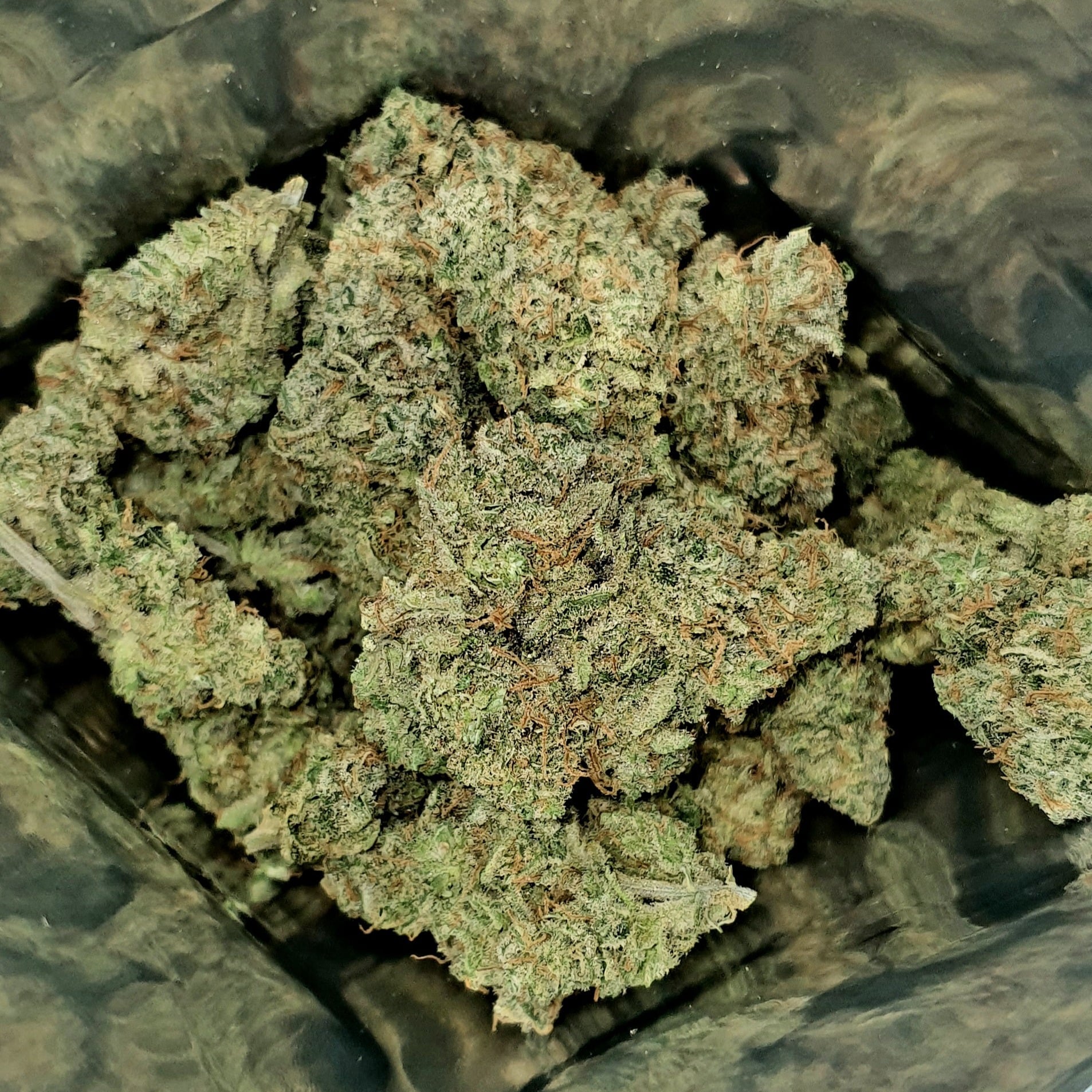 Hughes Bud