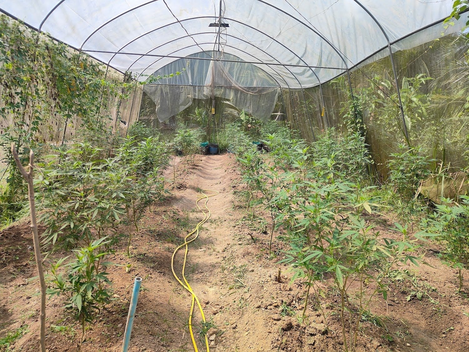 Agricultural Productivity Efficiency Increasing Learning Center