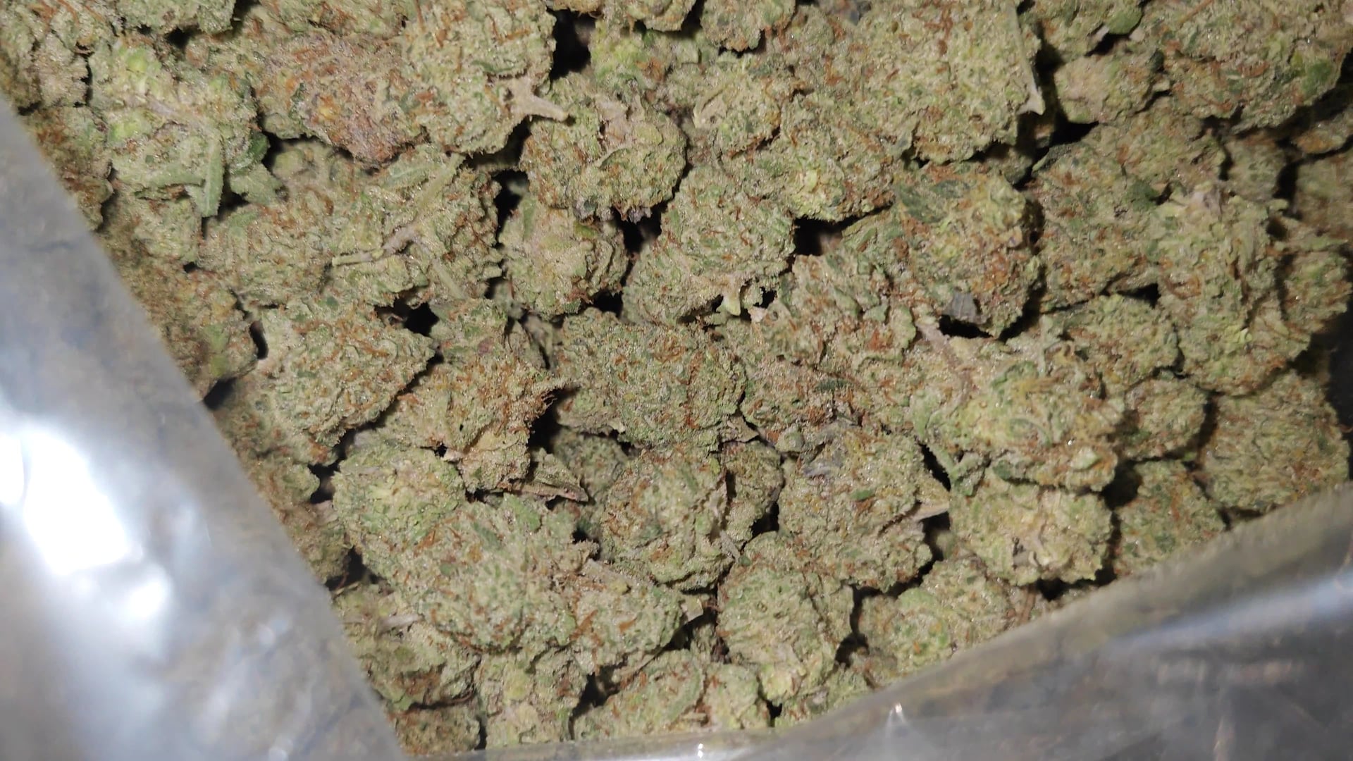 Sweedcannabis