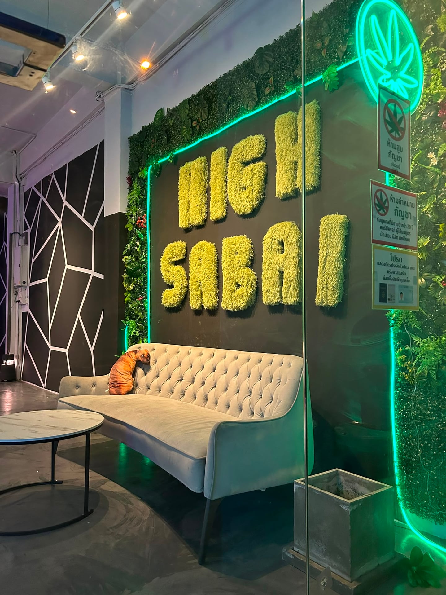 High Speed 420 Jomtien Weed Shop & Medical