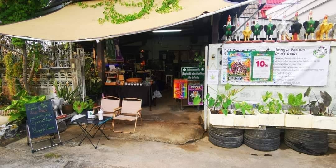 Bongja Paknam