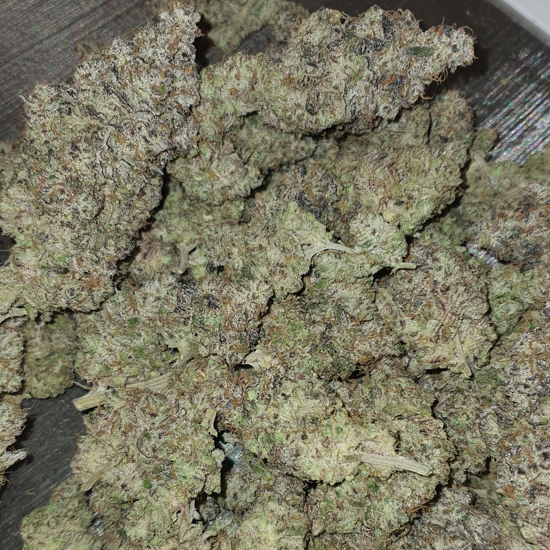 Hughes Bud