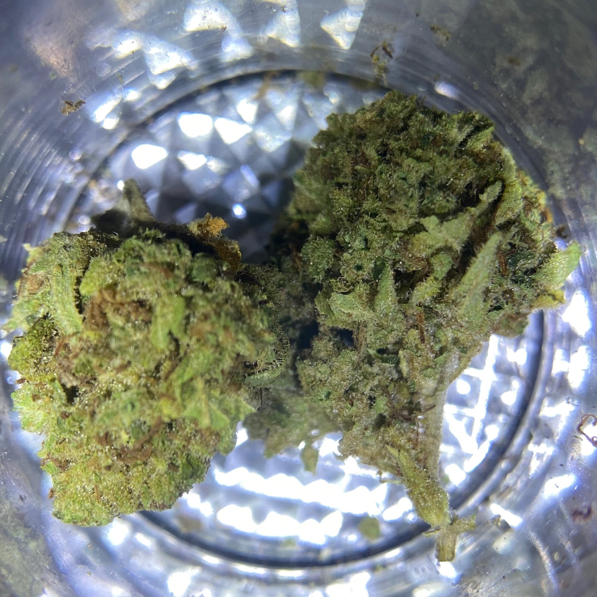 Babo.og