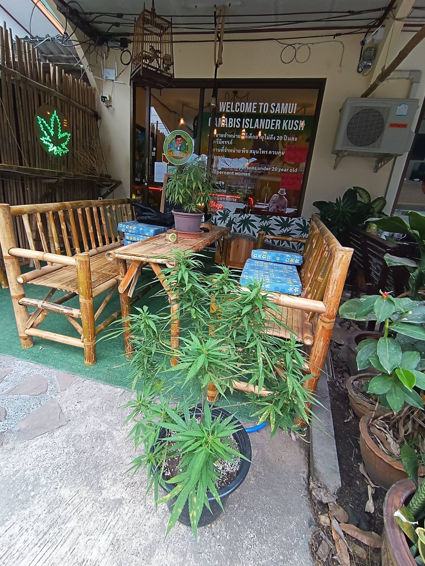 PiNam