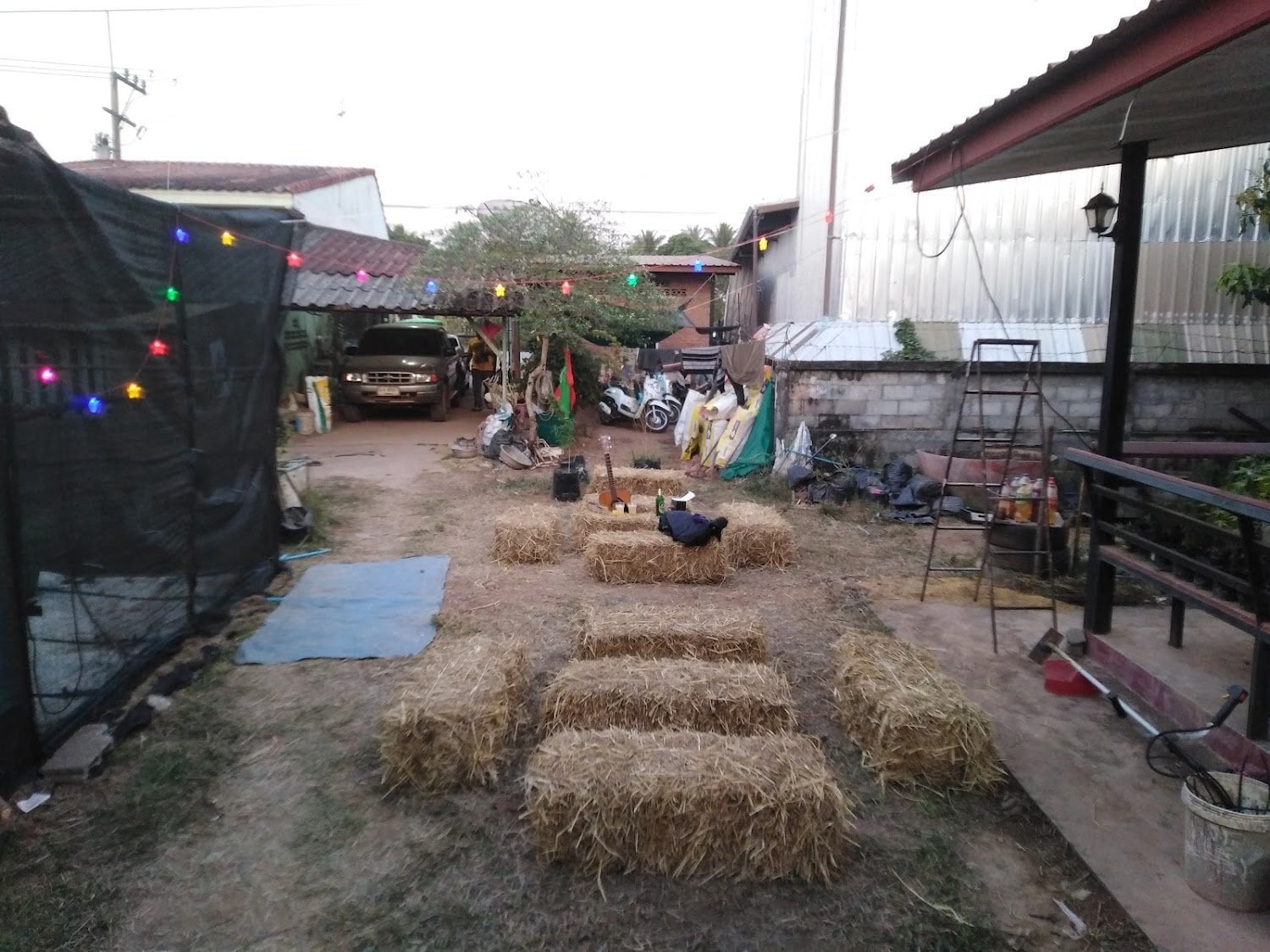 Pakoweed Marijuana
