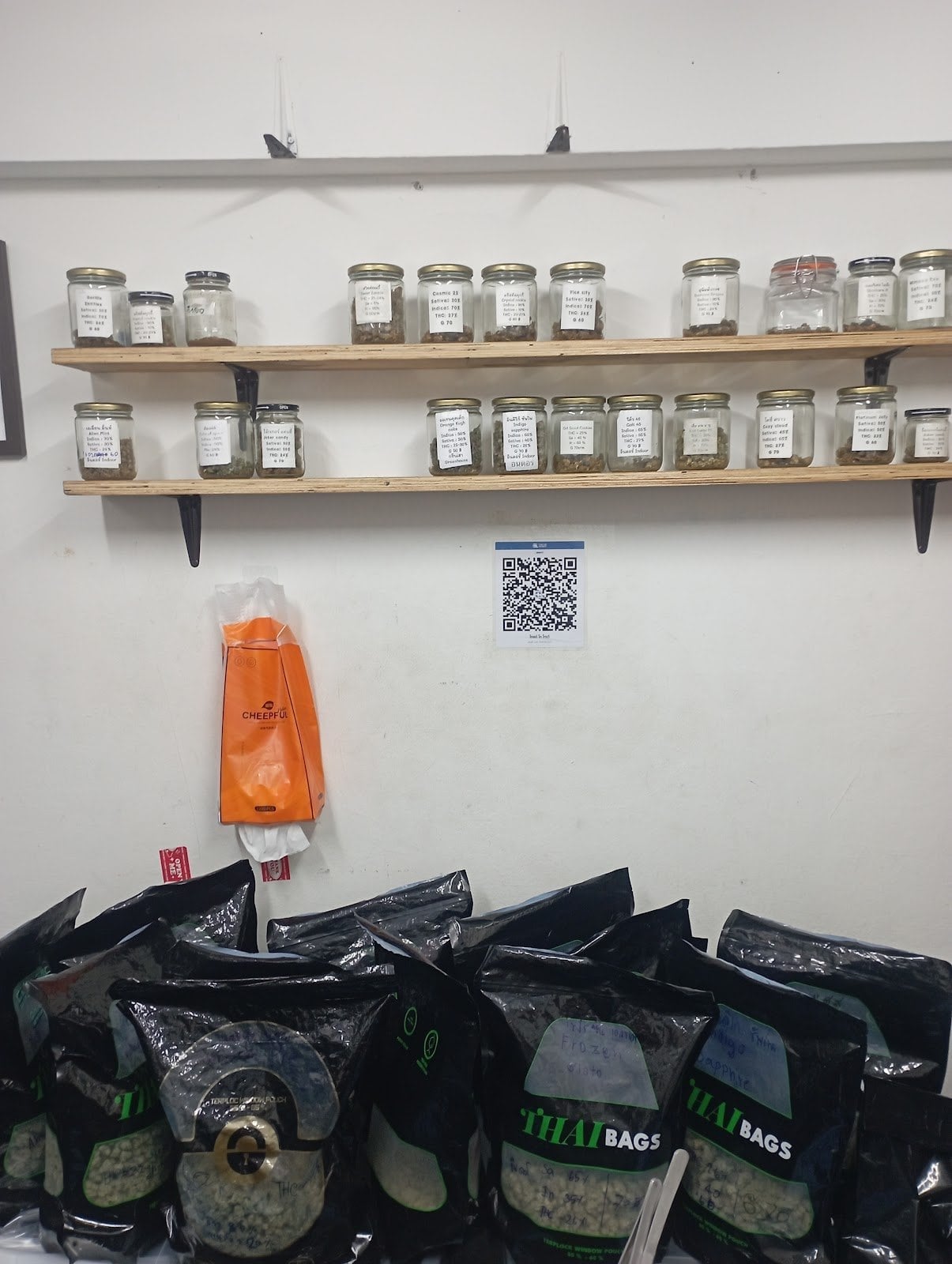 Cannabis420cnx