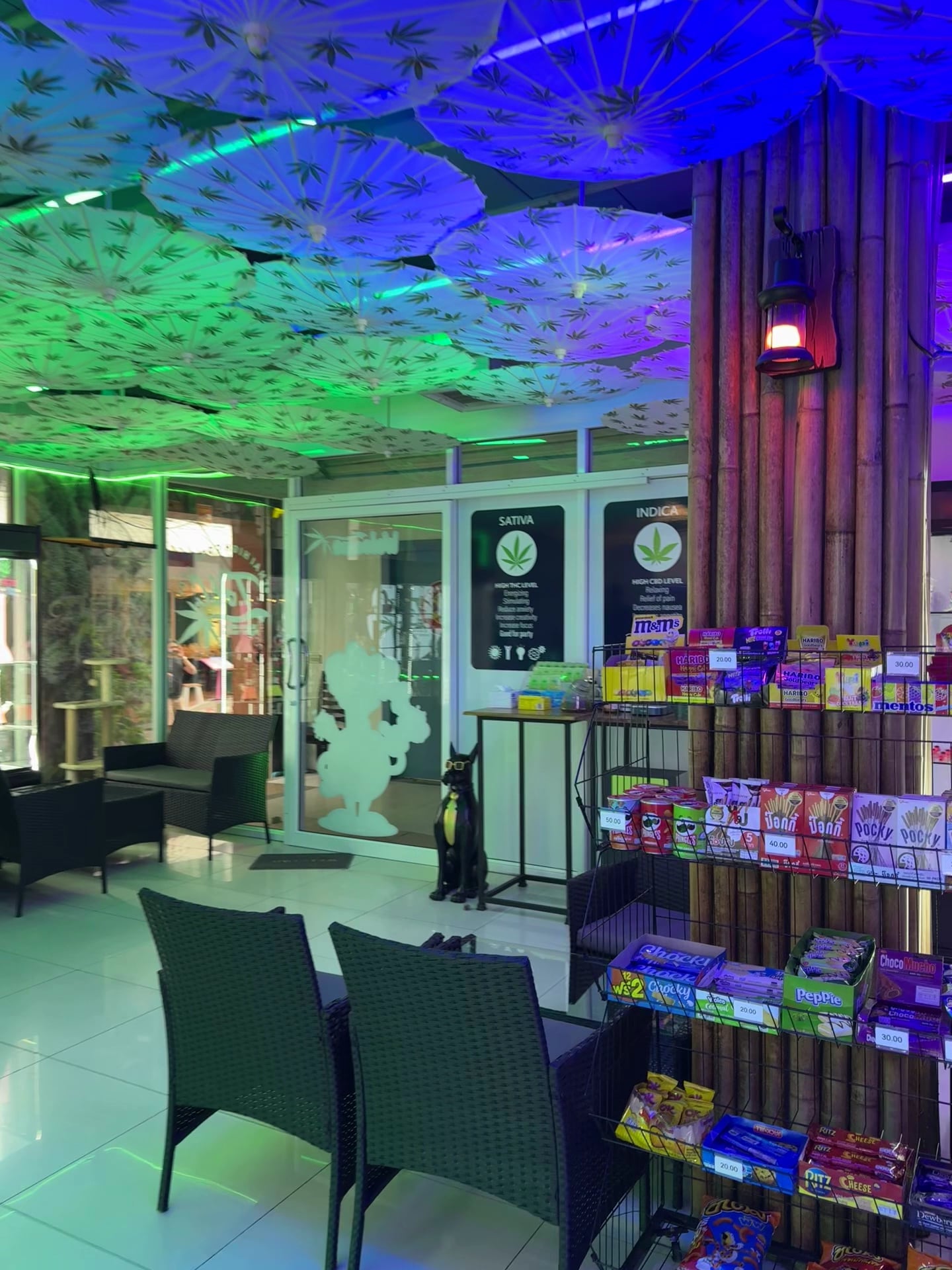THC Thai High Corporation - Cannabis