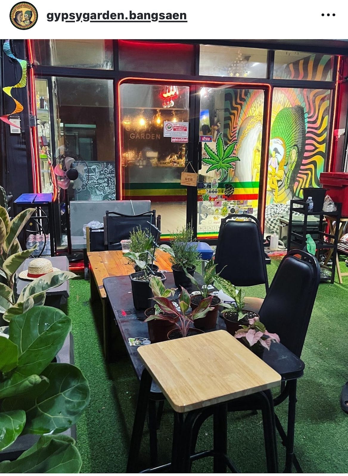 Gypsy Garden 420 Bangsaen