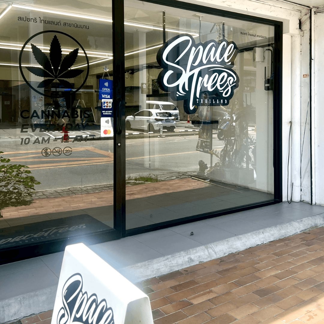 Space Trees: Cannabis Dispensary Chiang Mai