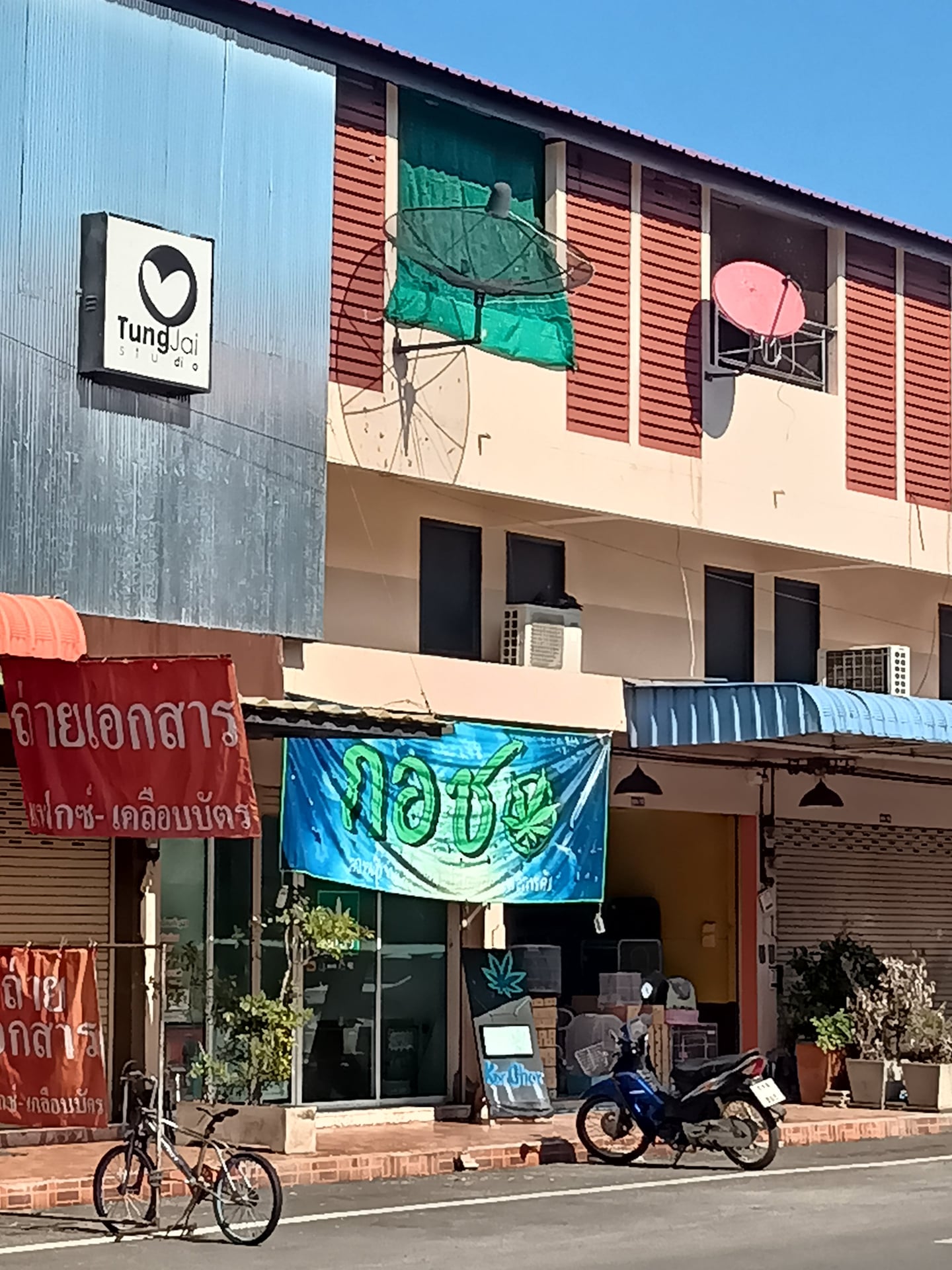 B.D Cannabis