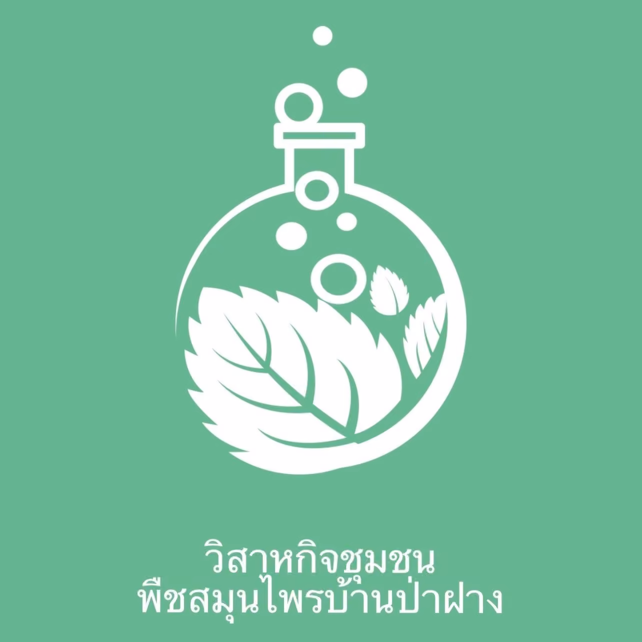 Cannabis Social Club Club 6054 v Chiang Mai logo