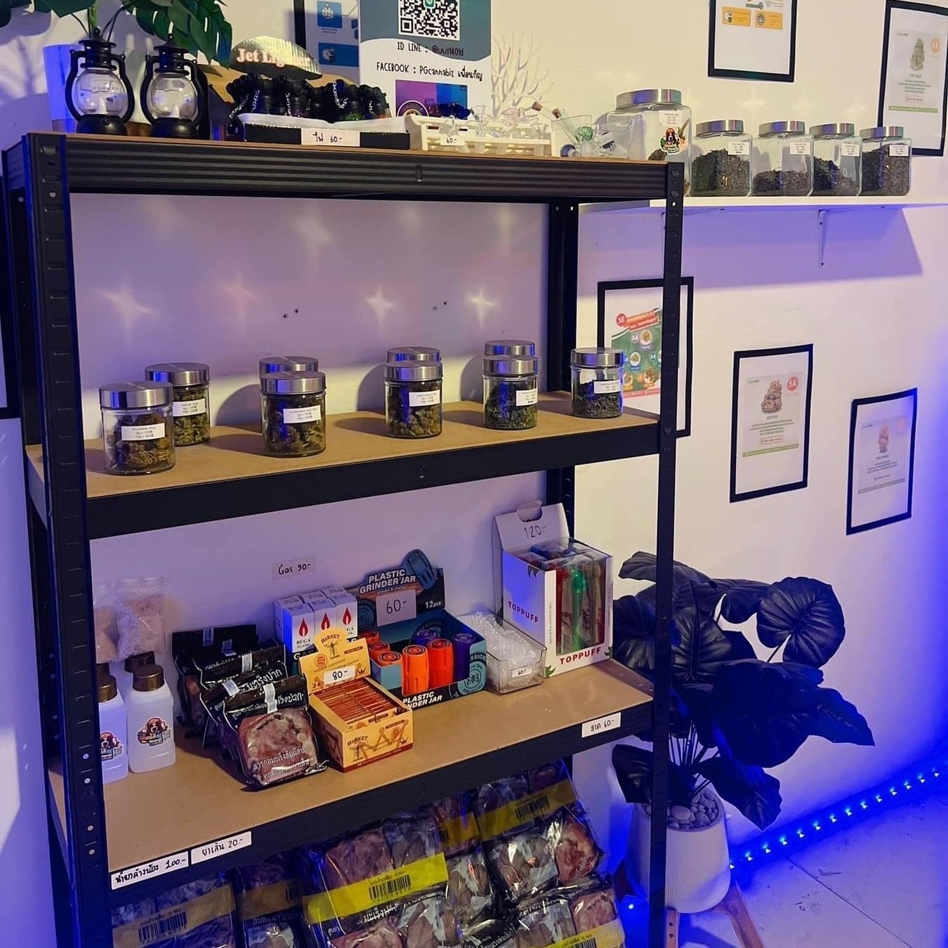 PGcannabiz