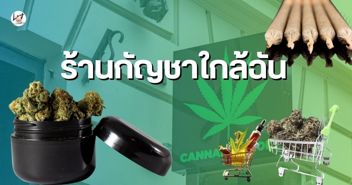 Loy Shop