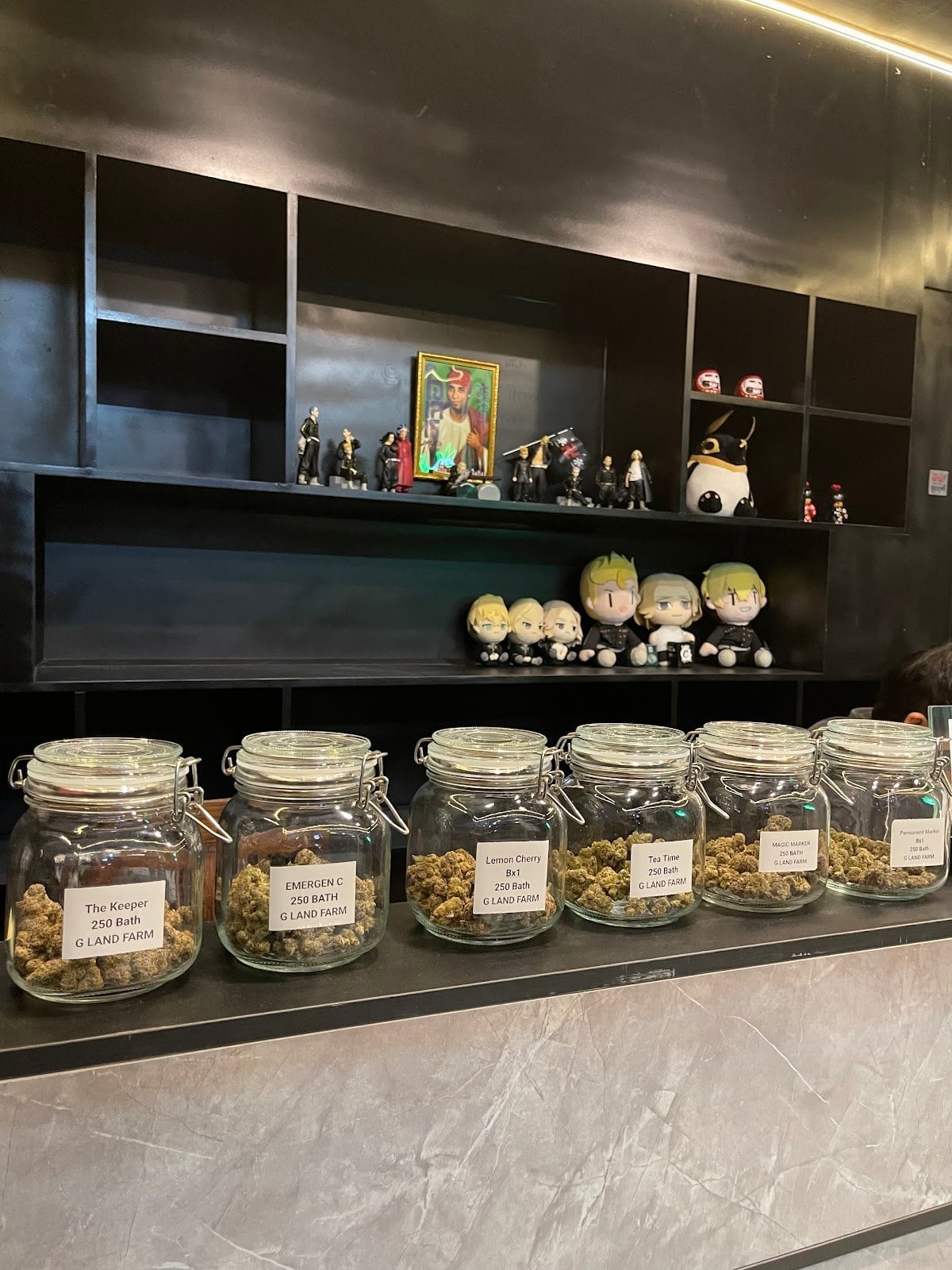 HighHub CNX