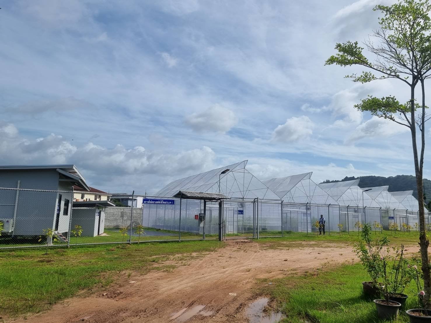 Green House 100 %