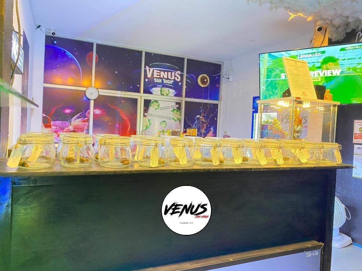 Venus JahHigh Cannabis