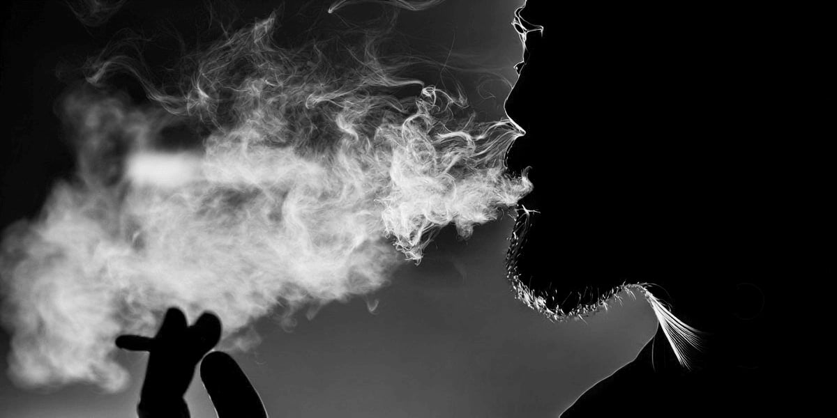 Pitbull Verde Cannabis Club (CSC)