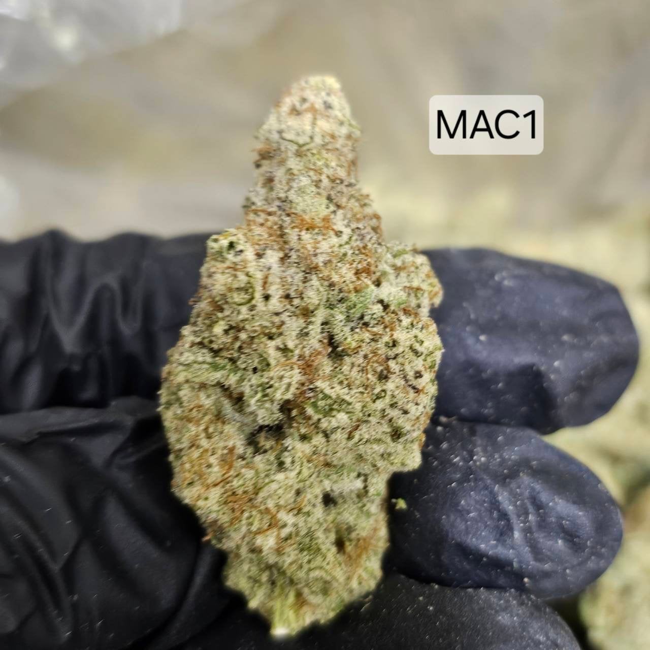 Green Sloth Weed Shop420