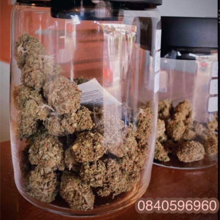 Ganja Town Weed Khao Lak