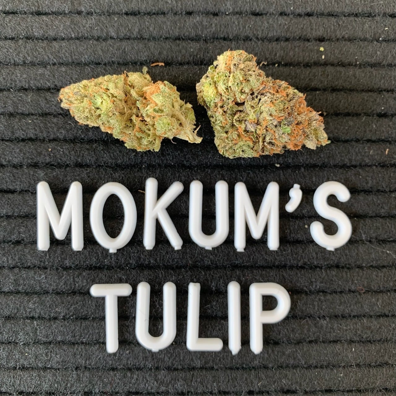 SPD Dispensary
