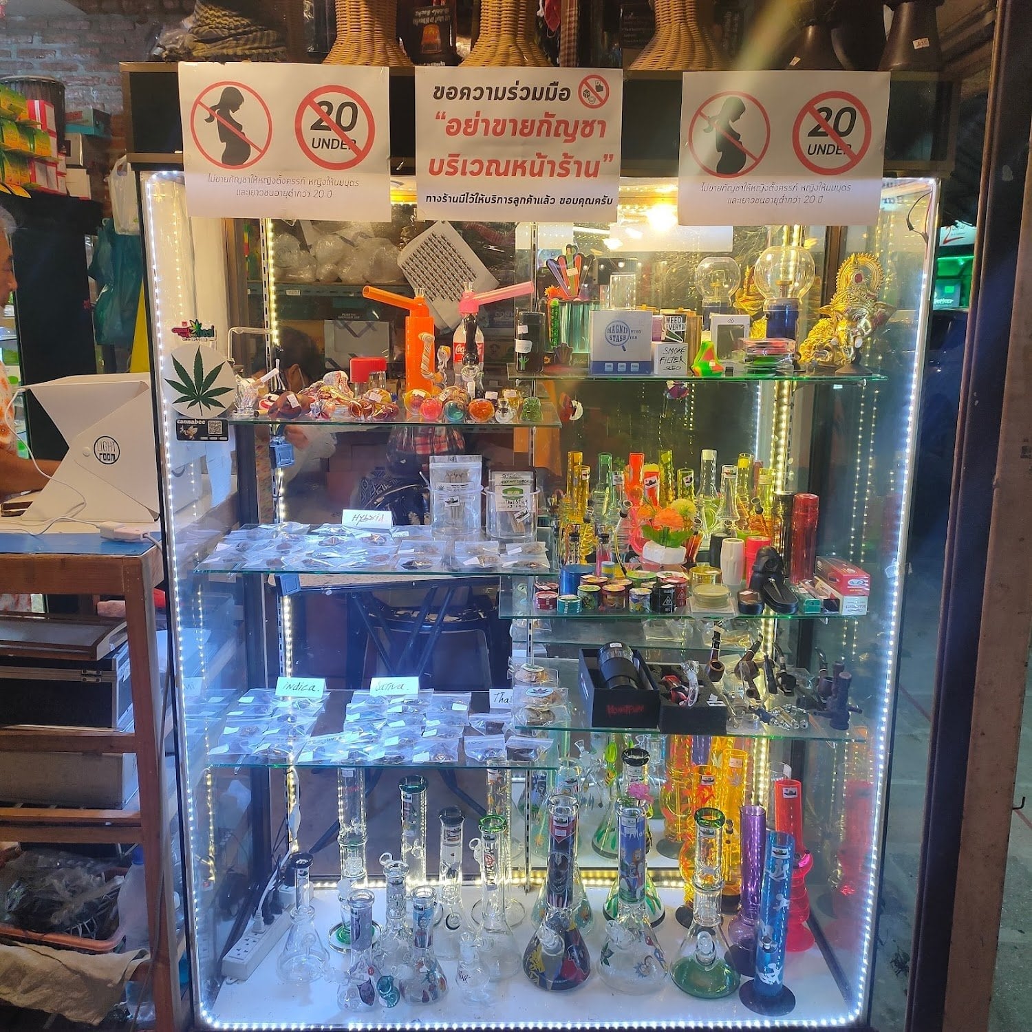 Bong Chiangmai By Tibtee