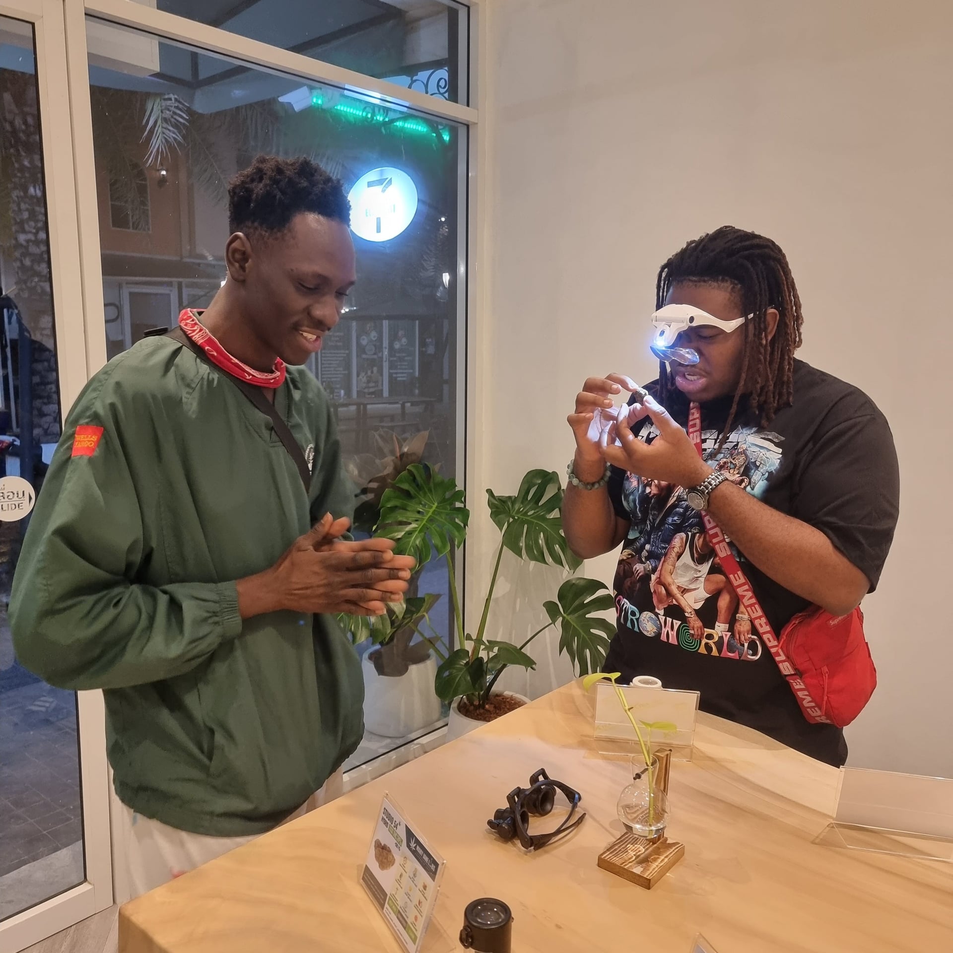 Mary Jane Labs