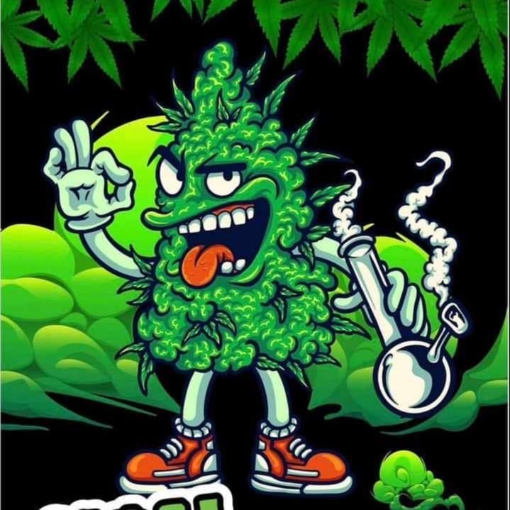 Hi Cannabis