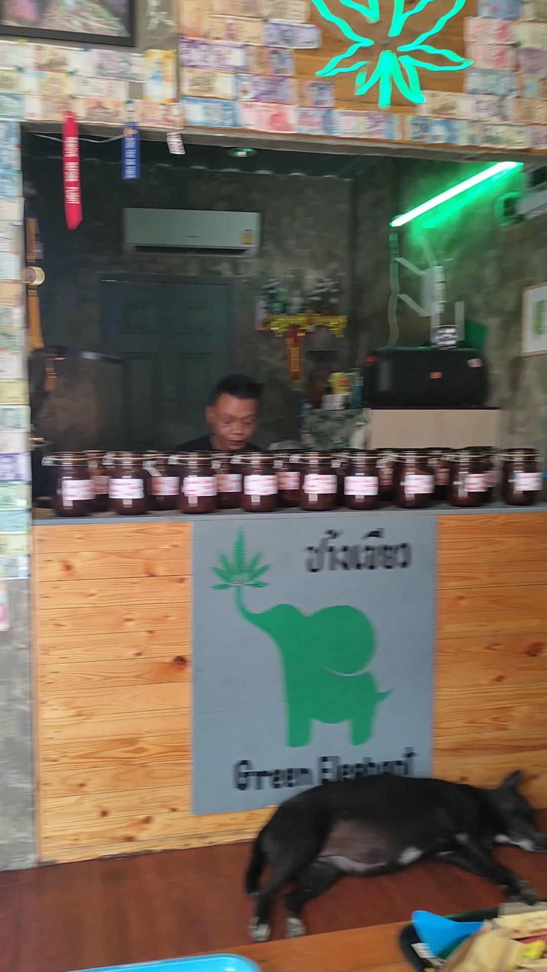 Green Elephant