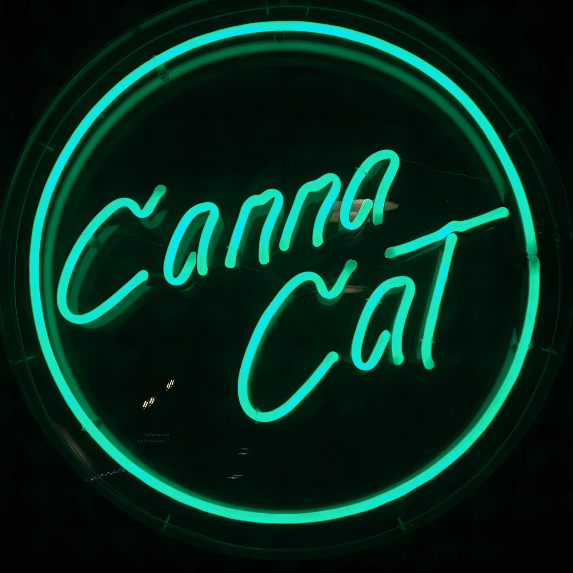 CannaCat