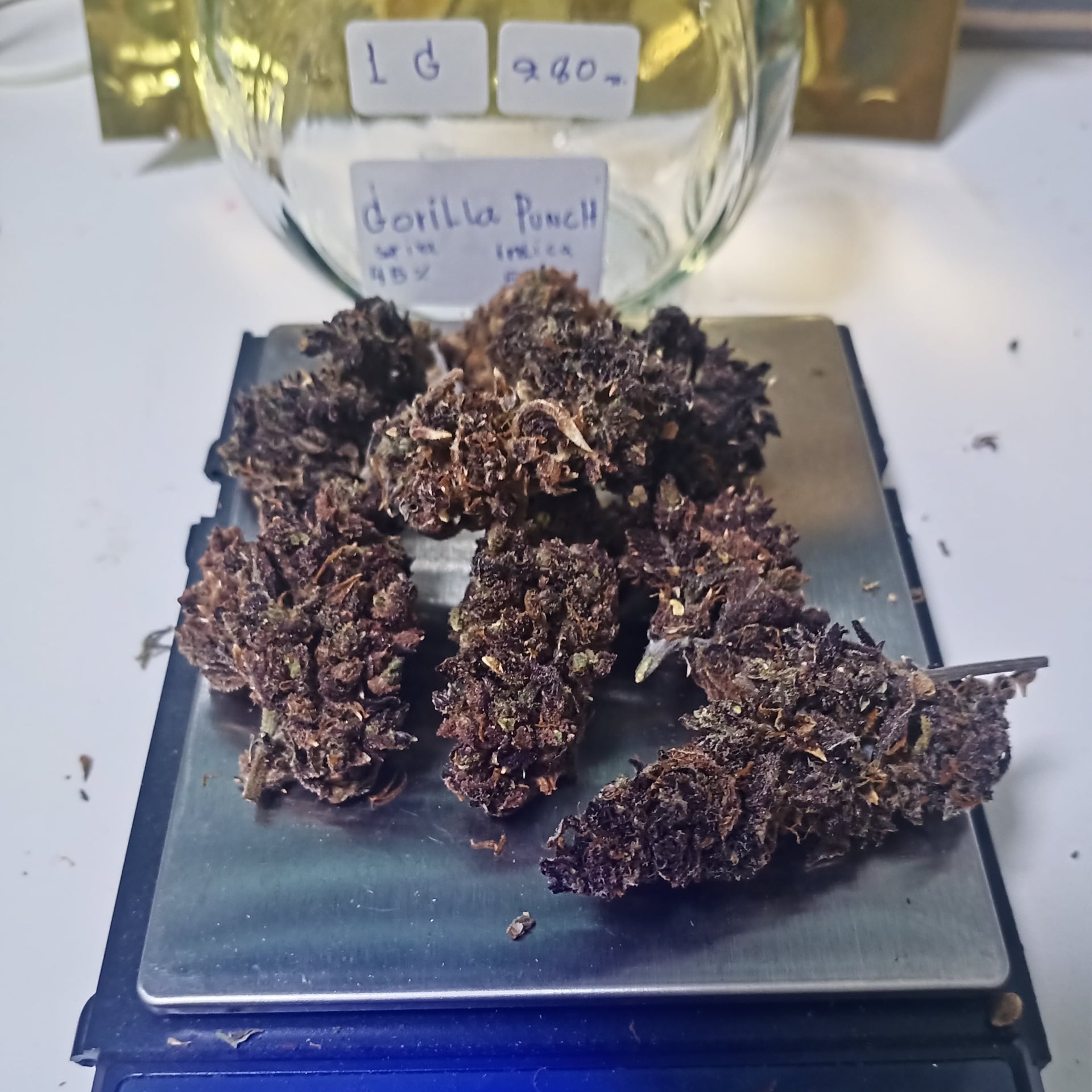 Mr.Weed168Cannabis