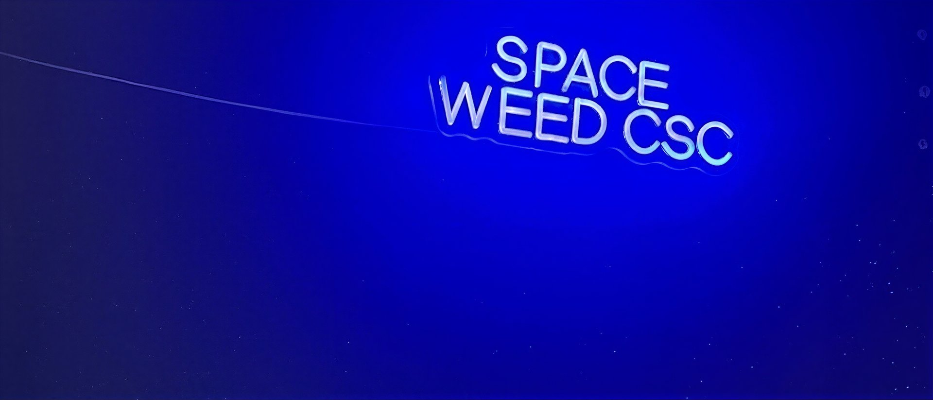 CSC Space Weed hero