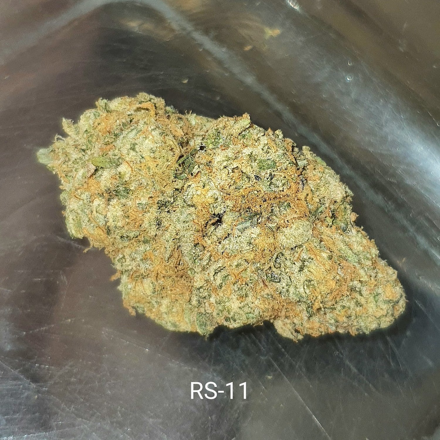 The Buds Station